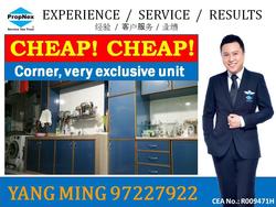 Blk 333 Kang Ching Road (Jurong West), HDB Executive #93488722